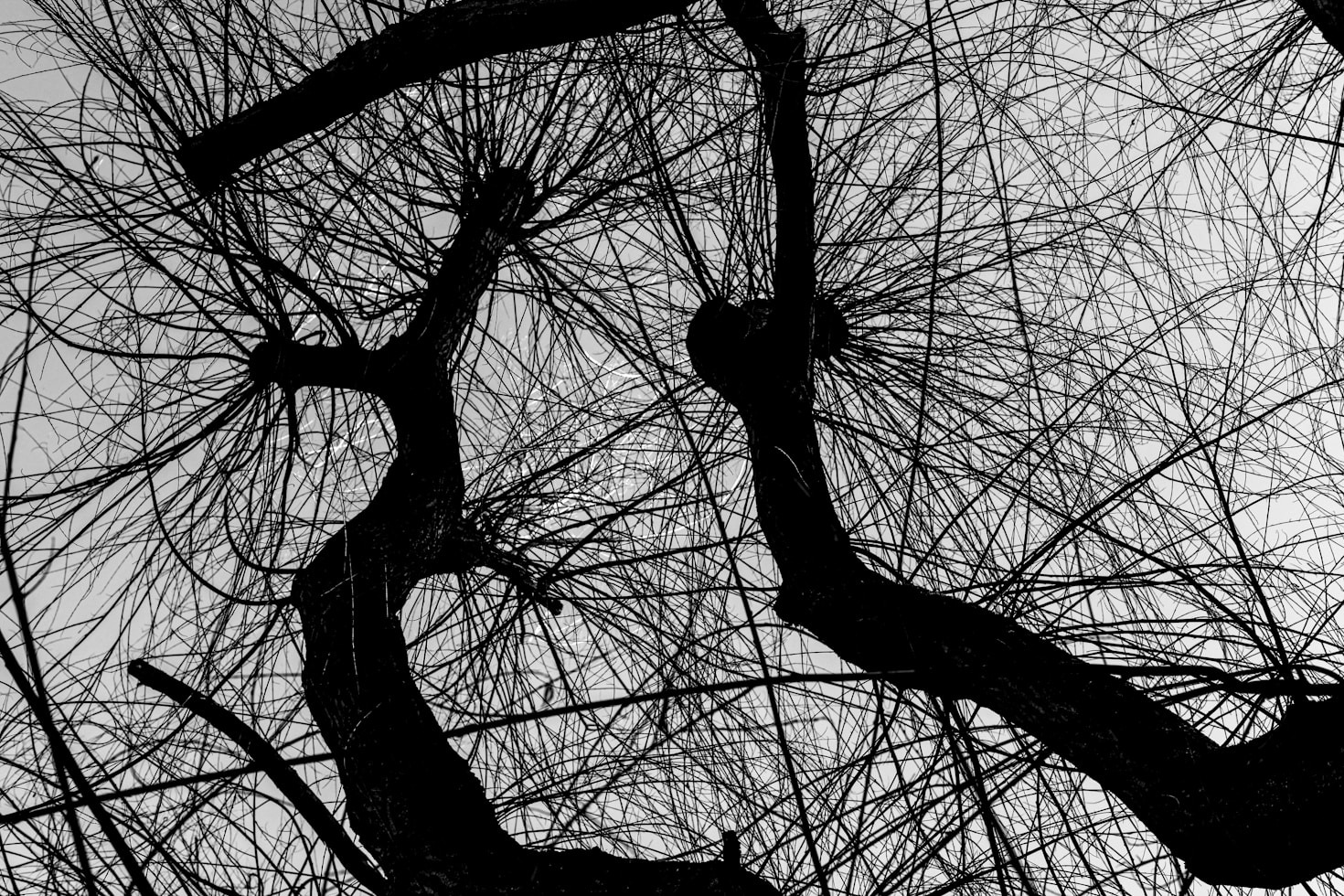 Praktische tips voor zenuwstelselregulatie